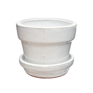 imported chinese glaze standard with saucer